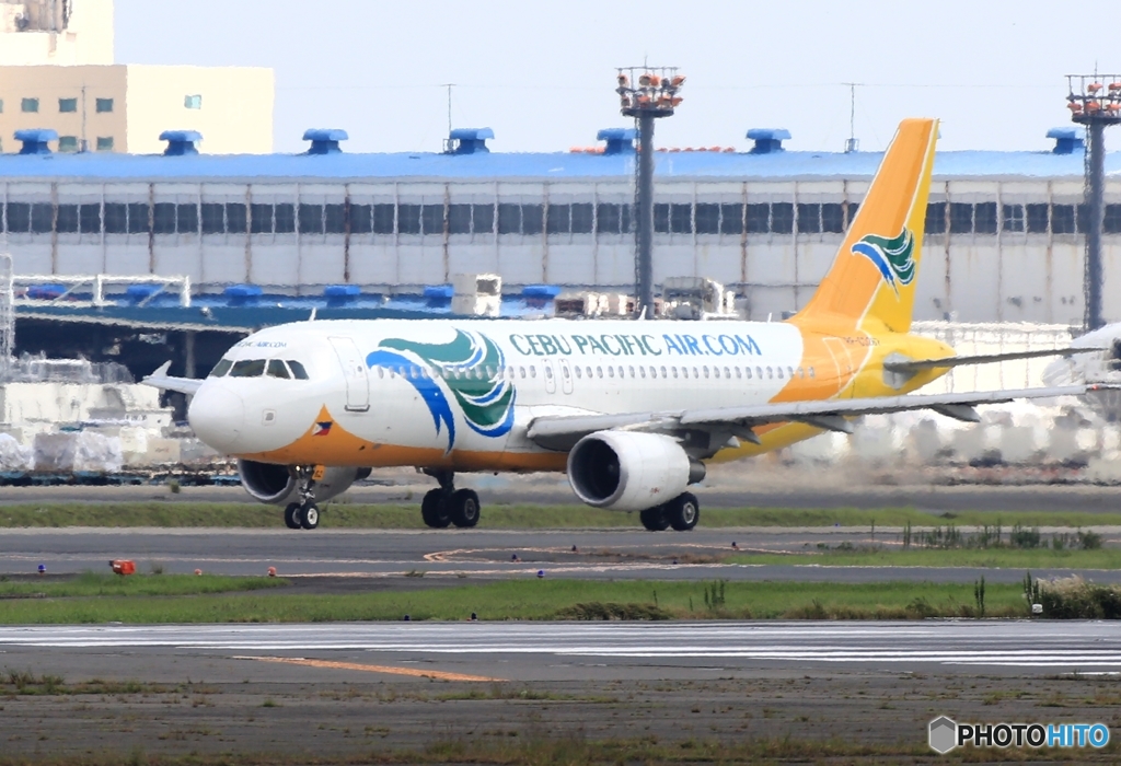 出発　CEBU A320-214