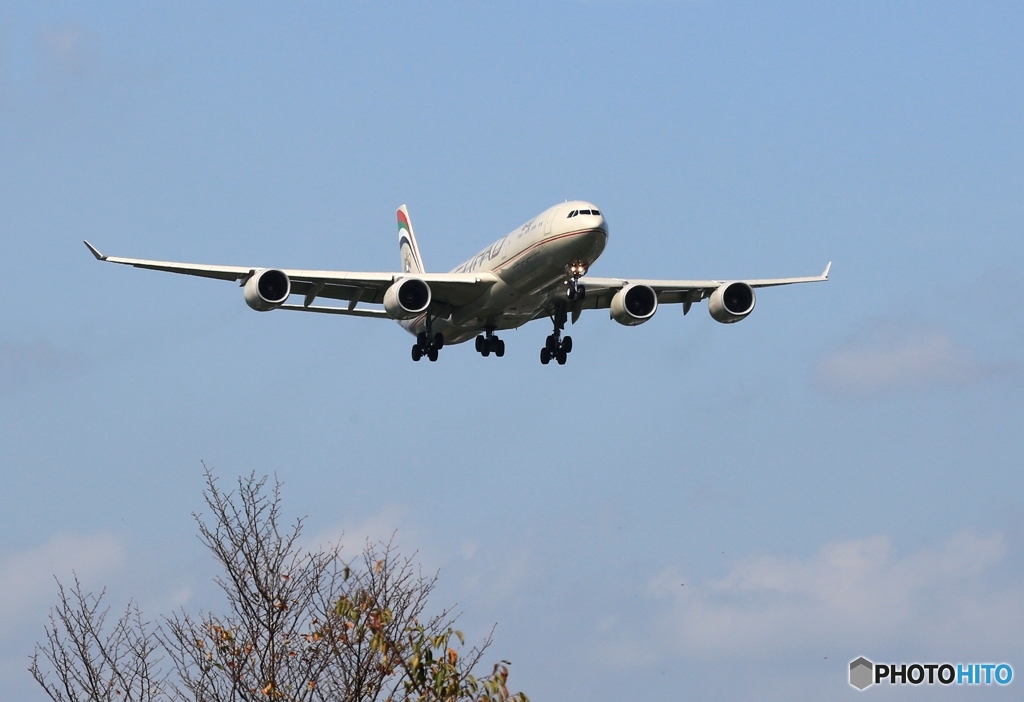ETIHAD A340-541 A6-EHB 到着