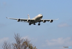 ETIHAD A340-541 A6-EHB 到着