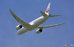 出発 JAL 787-8 JA843J