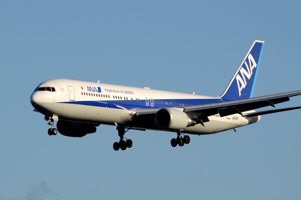 ANA　767-300 