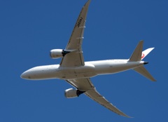 JAL 787-8 