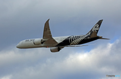 ✈昨日のAir New Zealand✈