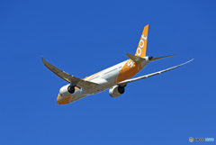 「青い空」が一番 scoot 787-9 9V-OJB出発