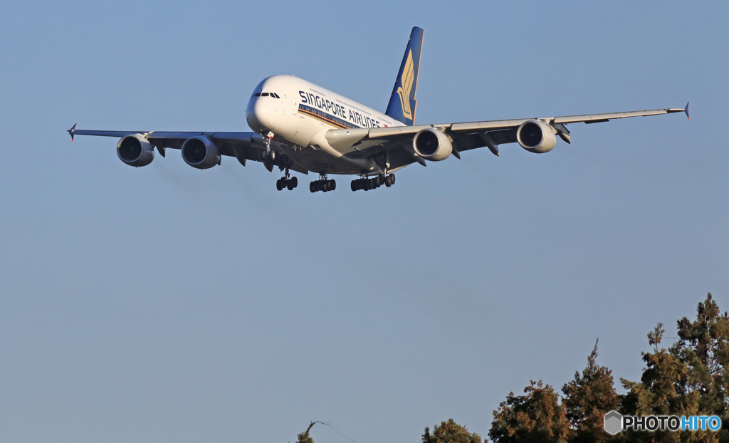 到着 Singapore A380-841 9V-SKN