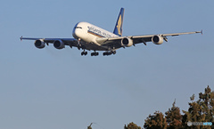 到着 Singapore A380-841 9V-SKN