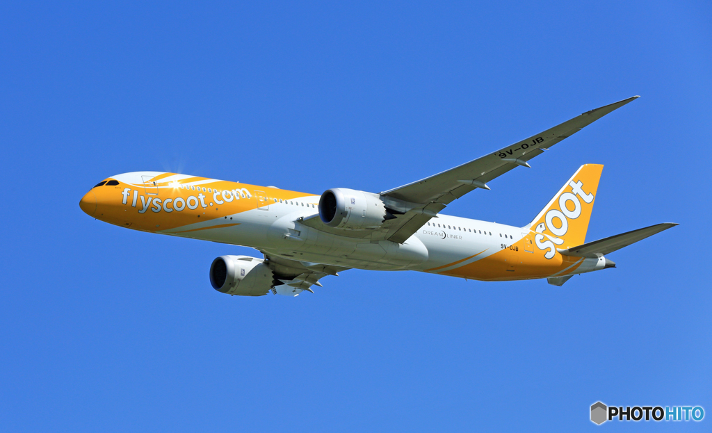 「そらー」 scoot 787-9 9V-OJB