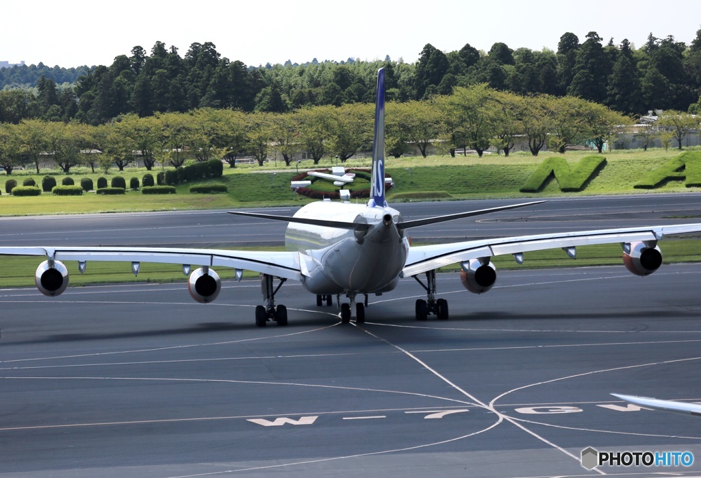 SAS A340-313  離陸