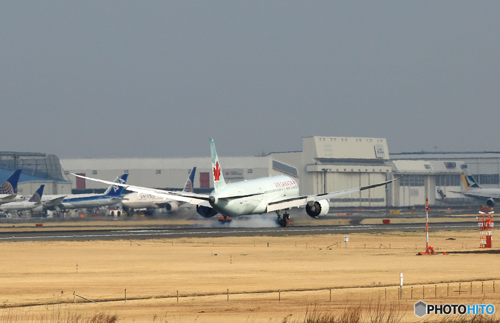 「SKY」 Air Canada 787-8 C-FNOH 着陸