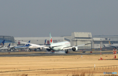 「SKY」 Air Canada 787-8 C-FNOH 着陸 「SKY」 Air Canada 787-8 C-FNOH 着陸