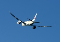 離陸（393）JAL 787-8 