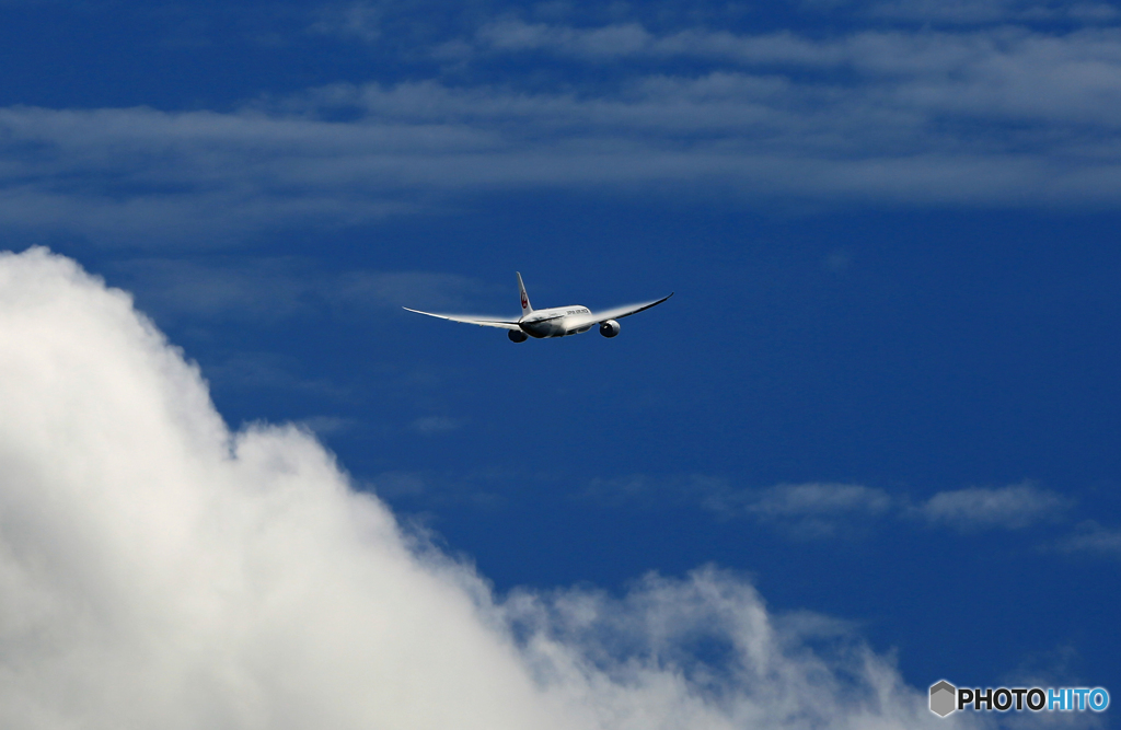 出発 JAL 787-8 JA837J