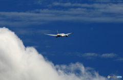 出発 JAL 787-8 JA837J