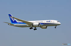 「そらー」 ANA 787-8 JA829A 着陸 