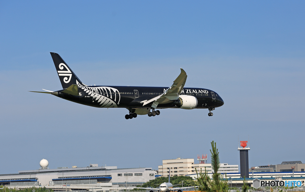 Air New Zealand「All Blacks」B787-9 ZK-NZE