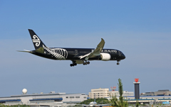 Air New Zealand「All Blacks」B787-9 ZK-NZE