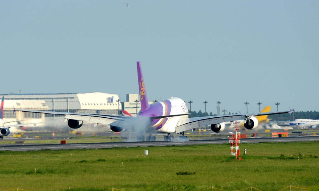 着陸（35-4）Thai  Airbus A380-841 [d]