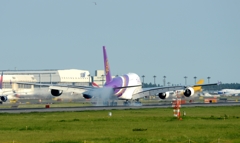 着陸（35-4）Thai  Airbus A380-841 [d]