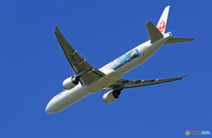 「青空」 JAL JET KEI 777-381 JA733J出発