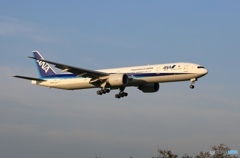 ANA 777-381 到着　