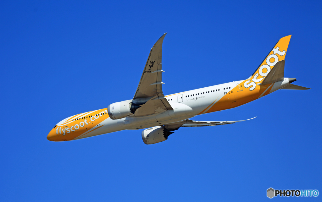 「ぶるー」 scoot 787-9 9V-OJE 飛行 