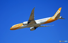 「ぶるー」 scoot 787-9 9V-OJE 飛行 