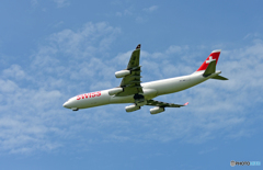 久しぶりのニコンで。