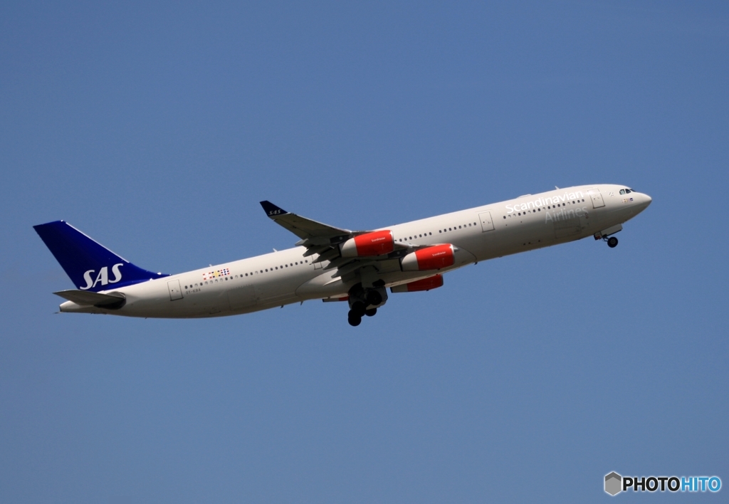 飛行　SAS A340-313 