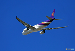 「良い天気」 Thai A330-343 HS-TEQ Takeoff  「良い天気」 Thai A330-343 HS-TEQ Takeoff