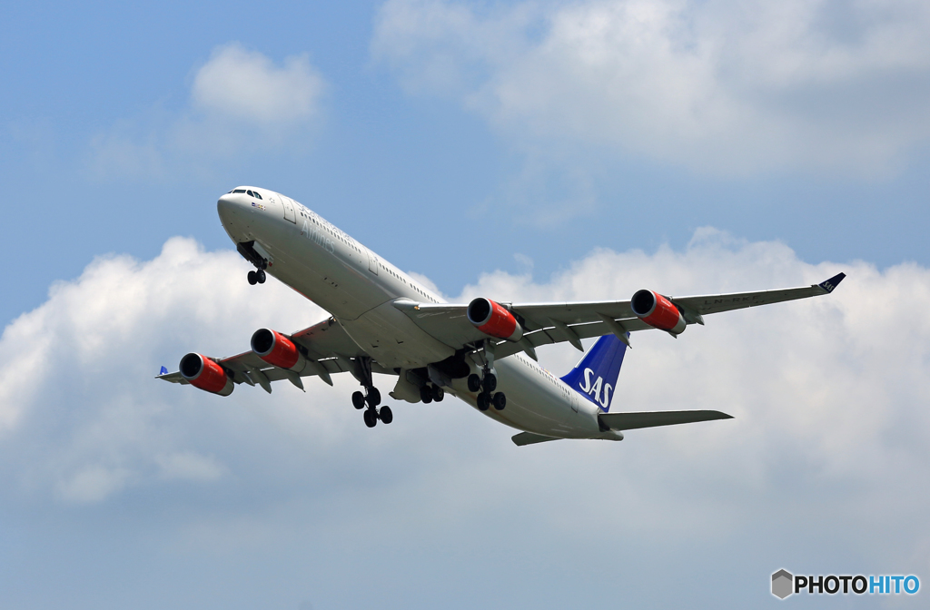 SAS A340-313 LN-RKF 飛び立ち 