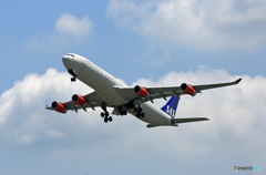 SAS A340-313 LN-RKF 飛び立ち 