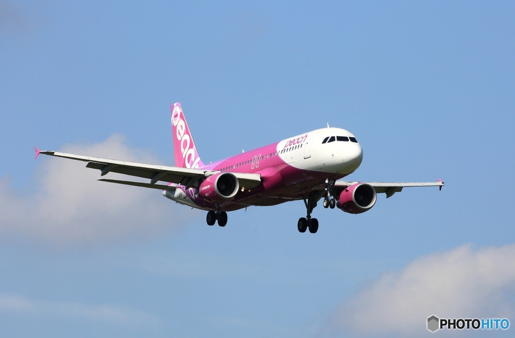 peach A320-214 JA804P 到着　