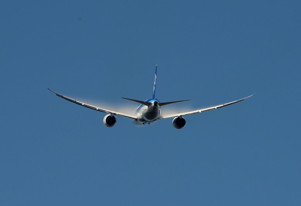 離陸（329）ANA 787-8 ﾍﾞｲﾊﾟｰ