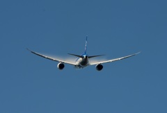 離陸（329）ANA 787-8 ﾍﾞｲﾊﾟｰ