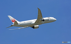 飛び立ち JAL 787-8 JA842J