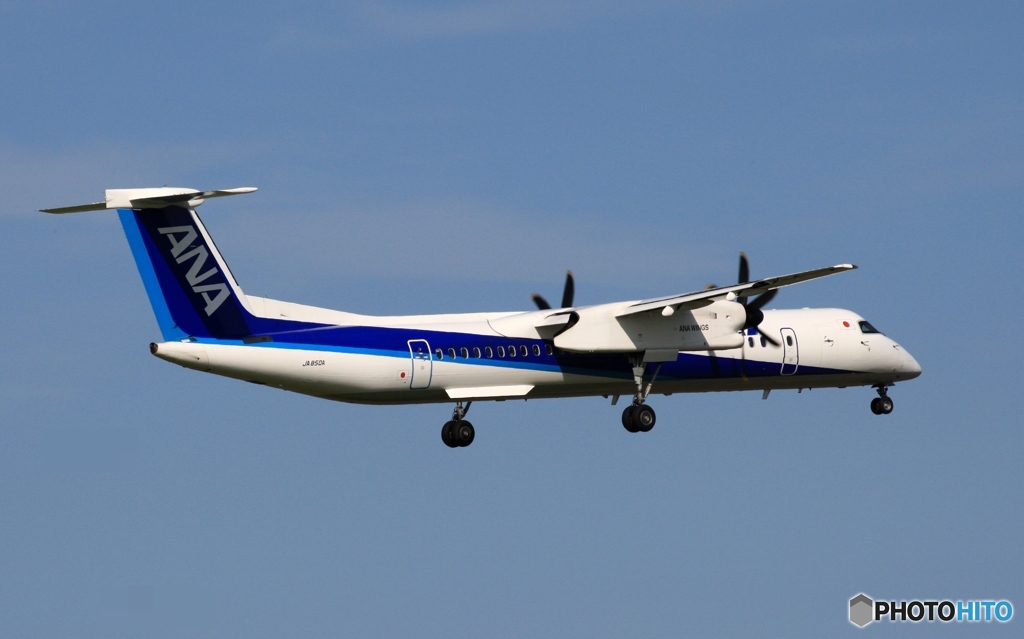 ANA DHC-8-Q400 到着