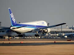 ANA 767-300 着陸