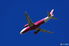 「すかい」 peach A320-214 JA818P出発