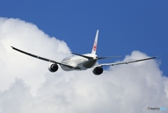 Japan Airlines 777