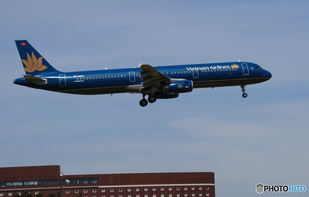 vietnam A321-231 到着　