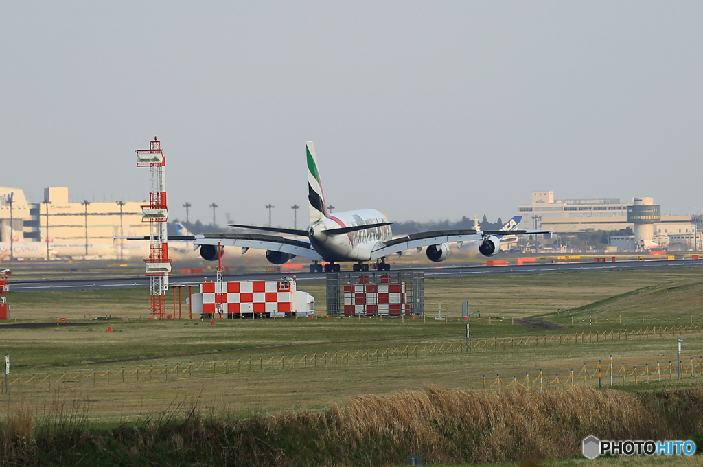 ✈エミレーツ特別塗装/動物愛護A380-861 A6-EEQ