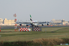 ✈エミレーツ特別塗装/動物愛護A380-861 A6-EEQ ✈エミレーツ特別塗装/動物愛護A380-861 A6-EEQ