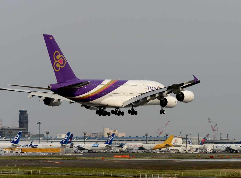 着陸　THAI A380-841