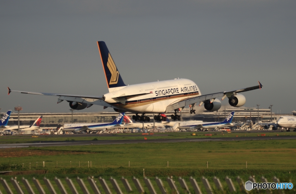 到着　Singapore A380-841 9V-SKR 