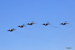 Iruma…（57）..C-1  x5　