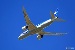 [青い空]　ANA 787-8 JA820A