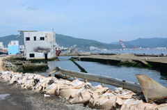 気仙沼（１１）