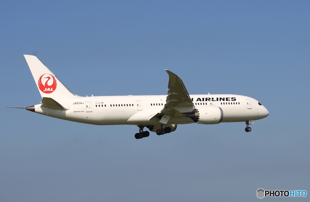 到着　JAL 787-8