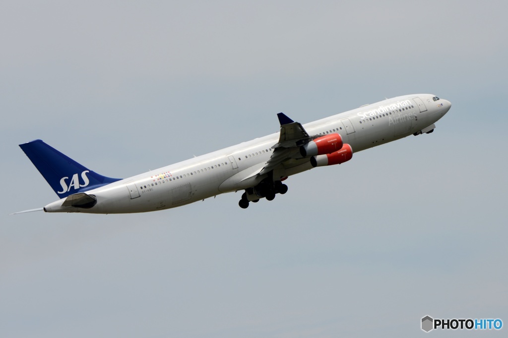 飛行　SAS A340-300