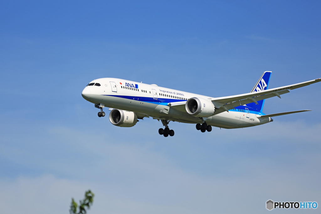 到着 ANA  [787-9 ] JA875A